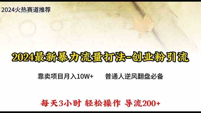 （10151期）2024年最新暴力流量打法，每日导入300+，靠卖项目月入10W+-蓝天项目网