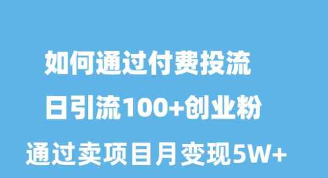 （10189期）如何通过付费投流日引流100+创业粉月变现5W+-蓝天项目网