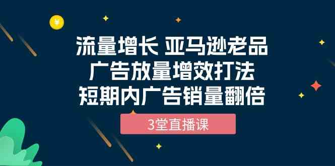 （10112期）流量增长 亚马逊老品广告放量增效打法，短期内广告销量翻倍（3堂直播课）-蓝天项目网