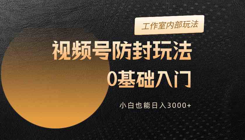 （10107期）2024视频号升级防封玩法，零基础入门，小白也能日入3000+-蓝天项目网