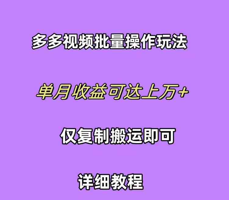 （10029期）拼多多视频带货快速过爆款选品教程 每天轻轻松松赚取三位数佣金 小白必…-蓝天项目网