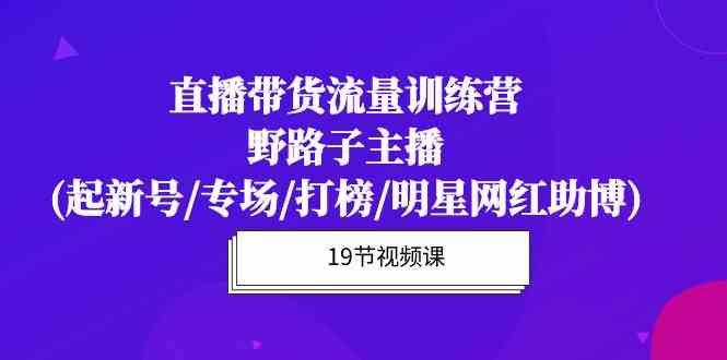 （10016期）直播带货流量特训营，野路子主播(起新号/专场/打榜/明星网红助博)19节课-蓝天项目网