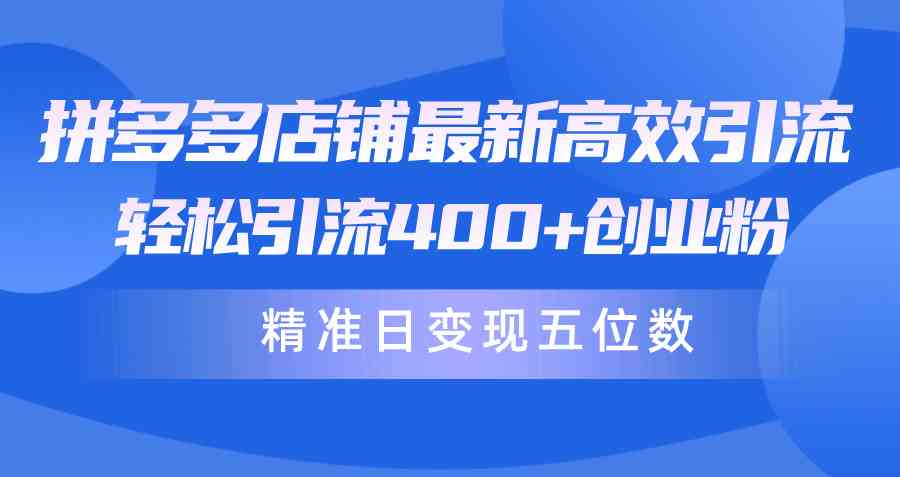 （10041期）拼多多店铺最新高效引流术，轻松引流400+创业粉，精准日变现五位数！-蓝天项目网