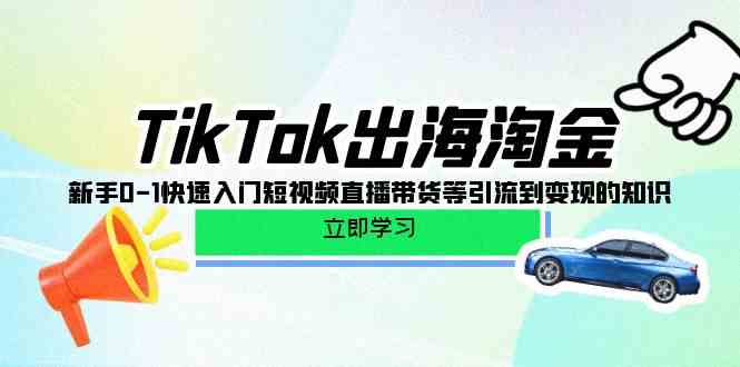 （10035期）TikTok-出海淘金，新手0-1快速入门短视频直播带货等引流到变现的知识-蓝天项目网