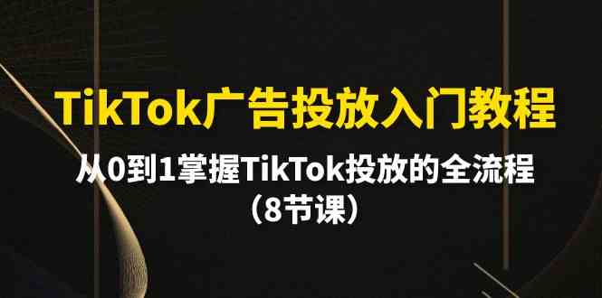 （10085期）TikTok广告投放入门教程，从0到1掌握TikTok投放的全流程（8节课）-蓝天项目网