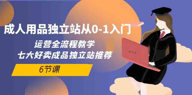 （10082期）成人用品独立站从0-1入门，运营全流程教学，七大好卖成品独立站推荐-6节课-蓝天项目网