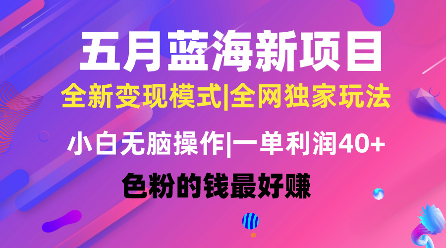 （10477期）五月蓝海项目全新玩法，小白无脑操作，一天几分钟，矩阵操作，月入4万+-蓝天项目网