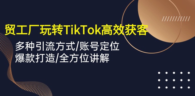 （10302期）外贸工厂玩转TikTok高效获客，多种引流方式/账号定位/爆款打造/全方位讲解-蓝天项目网