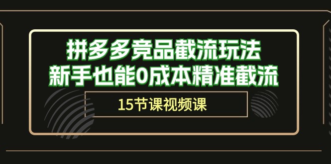 （10301期）拼多多竞品截流玩法，新手也能0成本精准截流（15节课）-蓝天项目网