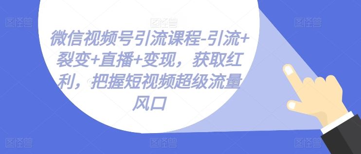 微信视频号引流课程-引流+裂变+直播+变现，获取红利，把握短视频超级流量风口-蓝天项目网