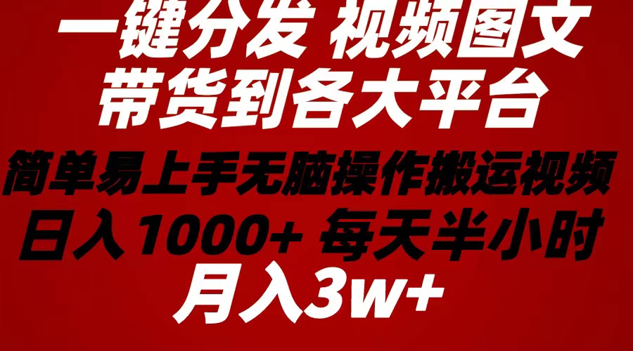 （10667期）2024年 一键分发带货图文视频  简单易上手 无脑赚收益 每天半小时日入1…-蓝天项目网