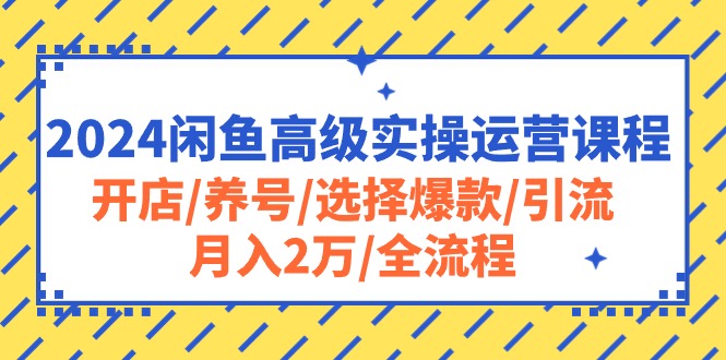 （10711期）2024闲鱼高级实操运营课程：开店/养号/选择爆款/引流/月入2万/全流程-蓝天项目网