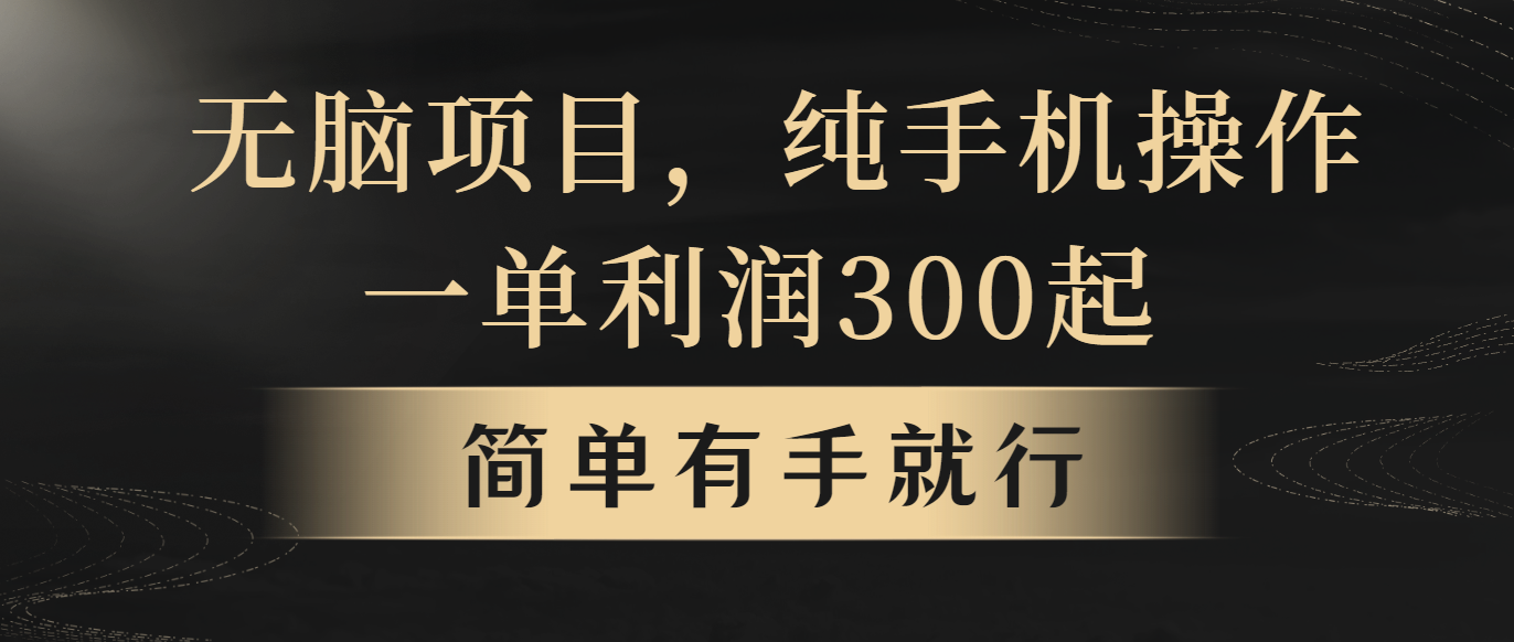 （10699期）无脑项目，一单几百块，轻松月入5w+，看完就能直接操作-蓝天项目网