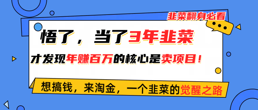 （10759期）悟了，当了3年韭菜，才发现网赚圈年赚100万的核心是卖项目，含泪分享！-蓝天项目网