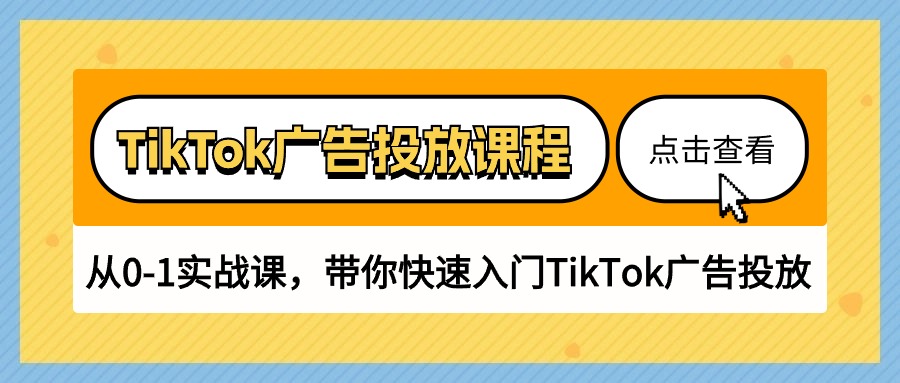 （10731期）TikTok广告投放课程，从0-1实战课，带你快速入门TikTok广告投放（30节课）-蓝天项目网