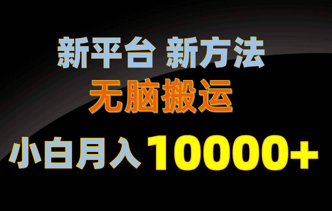 （10605期）新平台新方法，无脑搬运，月赚10000+，小白轻松上手不动脑-蓝天项目网