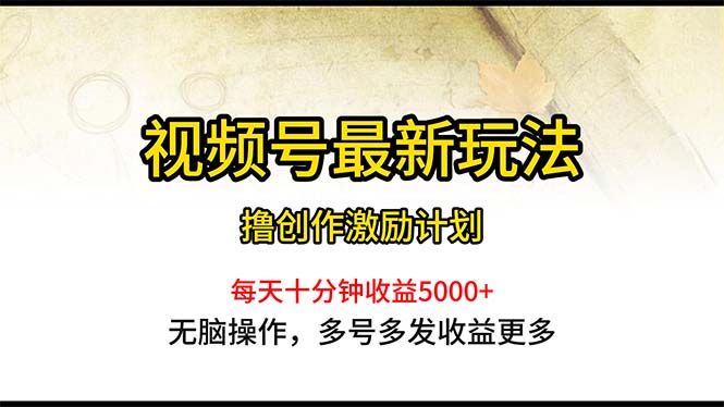 （10591期）视频号最新玩法，每日一小时月入5000+-蓝天项目网