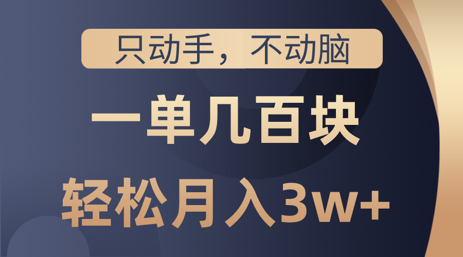 （10561期）只动手不动脑，一单几百块，轻松月入3w+，看完就能直接操作，详细教程-蓝天项目网