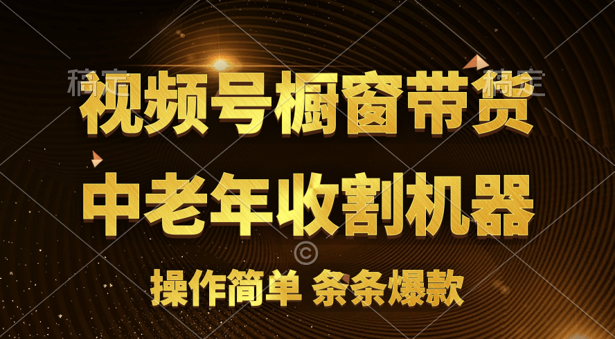 （11009期）[你的孩子成功取得高位]视频号最火爆赛道，橱窗带货，流量分成计划，条…-蓝天项目网