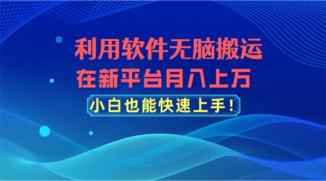 （11078期）利用软件无脑搬运，在新平台月入上万，小白也能快速上手-蓝天项目网