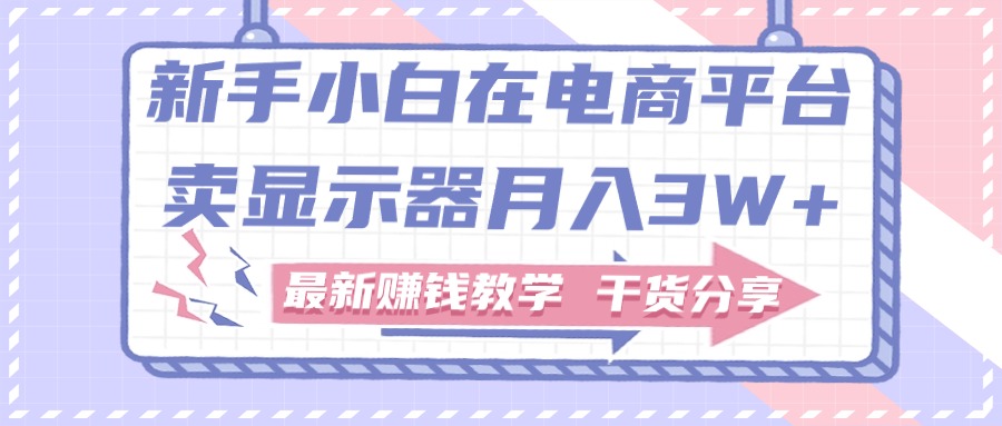 （11053期）新手小白如何做到在电商平台卖显示器月入3W+，最新赚钱教学干货分享-蓝天项目网