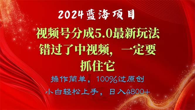 （11032期）2024蓝海项目，视频号分成计划5.0最新玩法，错过了中视频，一定要抓住…-蓝天项目网