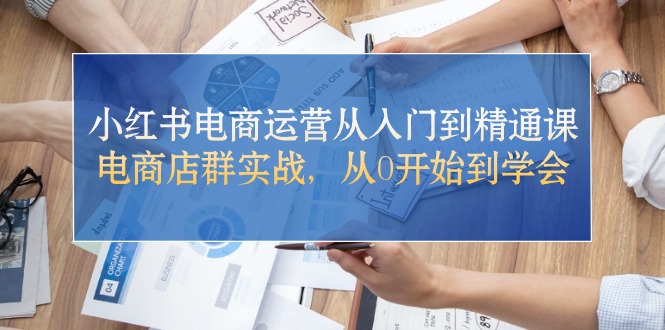 （10937期）小红书电商运营从入门到精通课，电商店群实战，从0开始到学会-蓝天项目网