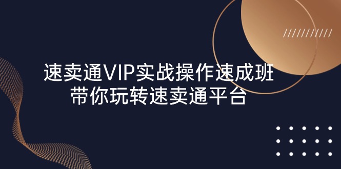 （10935期）速卖通 VIP实战操作-速成班，带你玩转速卖通平台（23节）-蓝天项目网