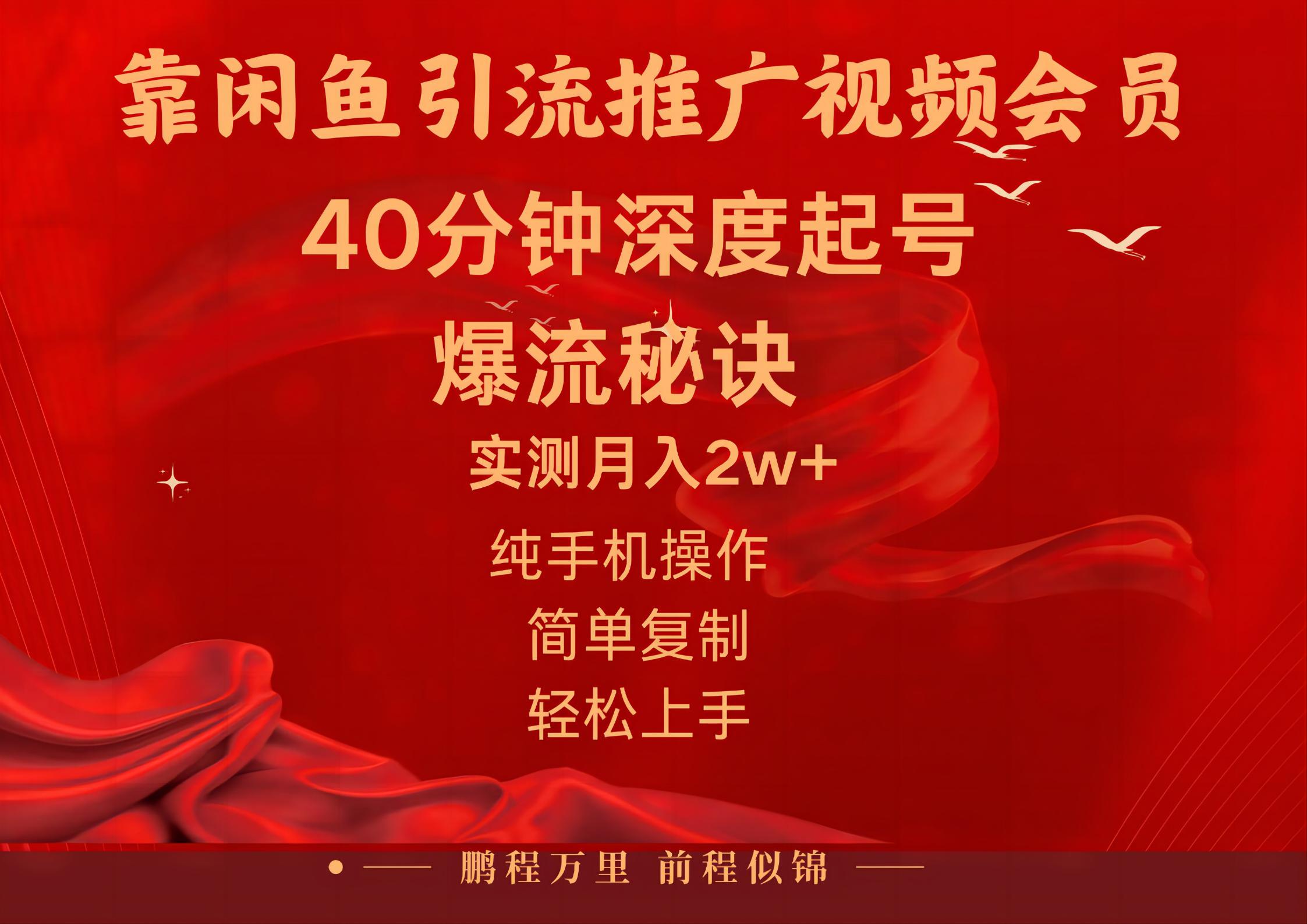 （10896期）闲鱼暴力引流推广视频会员，能做到日入2W+，操作简单-蓝天项目网