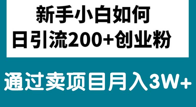 （10843期）新手小白日引流200+创业粉,通过卖项目月入3W+-蓝天项目网