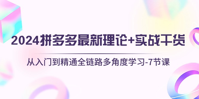 （10816期）2024拼多多 最新理论+实战干货，从入门到精通全链路多角度学习-7节课-蓝天项目网