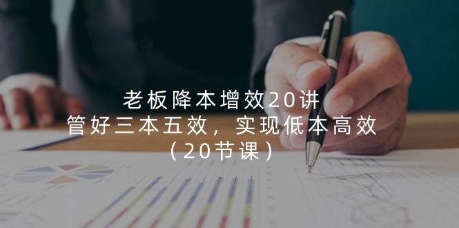 （11238期）老板 降本增效20讲，管好 三本五效，实现低本高效（20节课）-蓝天项目网