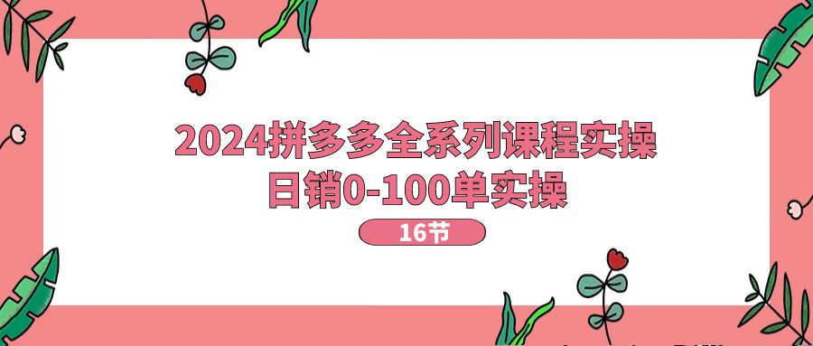 （11222期）2024拼多多全系列课程实操，日销0-100单实操【16节课】-蓝天项目网