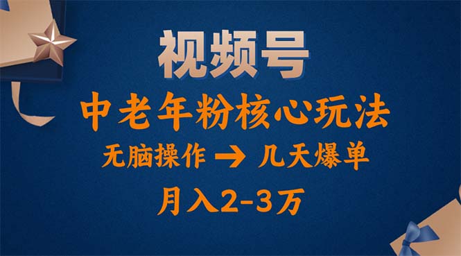 （11288期）视频号火爆玩法，高端中老年粉核心打法，无脑操作，一天十分钟，月入两万-蓝天项目网