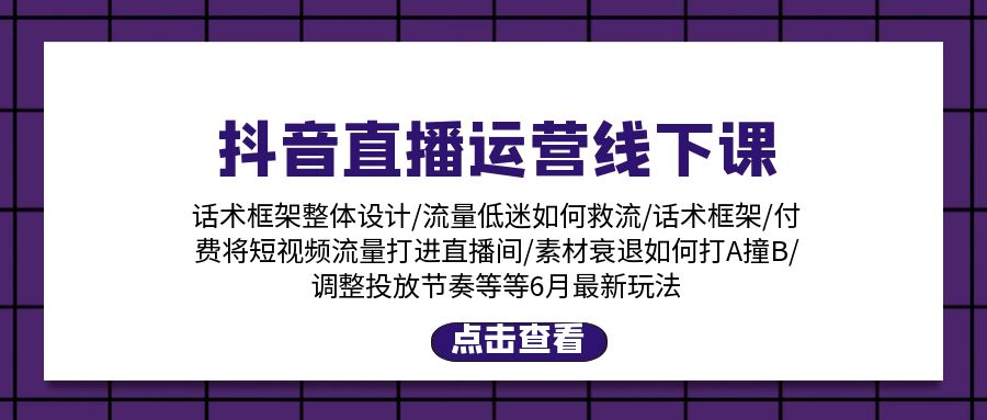 （11211期）抖音直播运营线下课：话术框架/付费流量直播间/素材A撞B/等6月新玩法-蓝天项目网