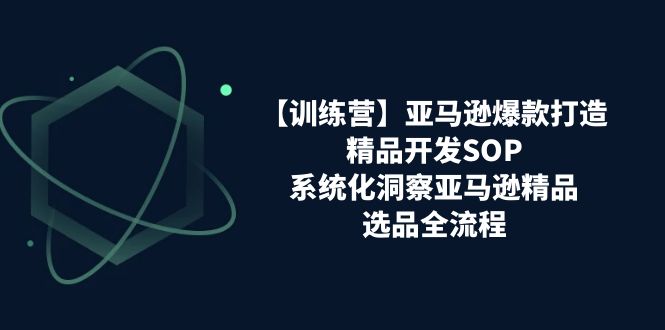 （11210期）【训练营】亚马逊爆款打造之精品开发SOP，系统化洞察亚马逊精品选品全流程-蓝天项目网