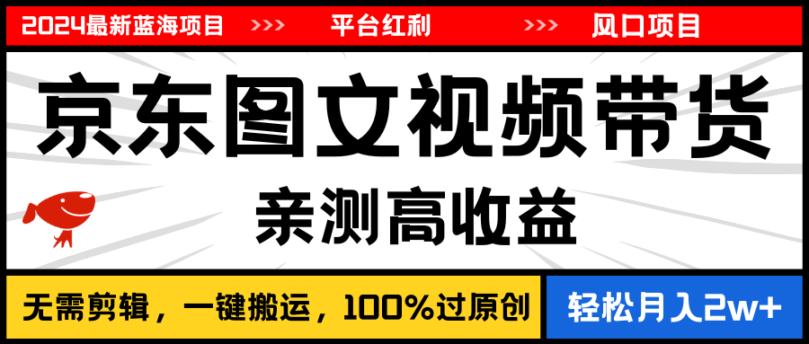 （11147期）2024最新蓝海项目，逛逛京东图文视频带货，无需剪辑，月入20000+-蓝天项目网