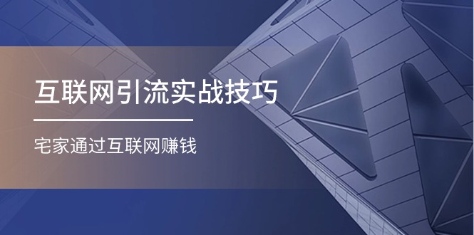 （11108期）互联网引流实操技巧(适合微商，吸引宝妈)，宅家通过互联网赚钱（17节）-蓝天项目网