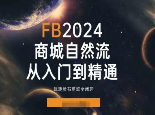 2024Faceboo商城自然流(从入门到精通)，玩转脸书商城全闭环-蓝天项目网