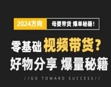 短视频母婴赛道实操流量训练营，零基础视频带货，好物分享，爆量秘籍-蓝天项目网