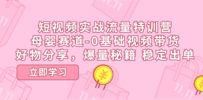 （11373期）短视频实战流量特训营，母婴赛道-0基础带货，好物分享，爆量秘籍 稳定出单-蓝天项目网