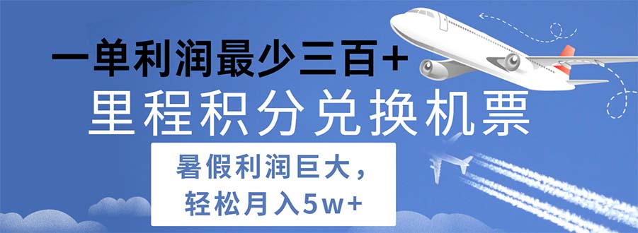 （11385期）2024暑假利润空间巨大的里程积分兑换机票项目，每一单利润最少500-蓝天项目网