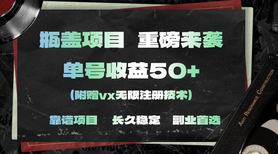 （11381期）一分钟一单，一单利润30+，适合小白操作-蓝天项目网