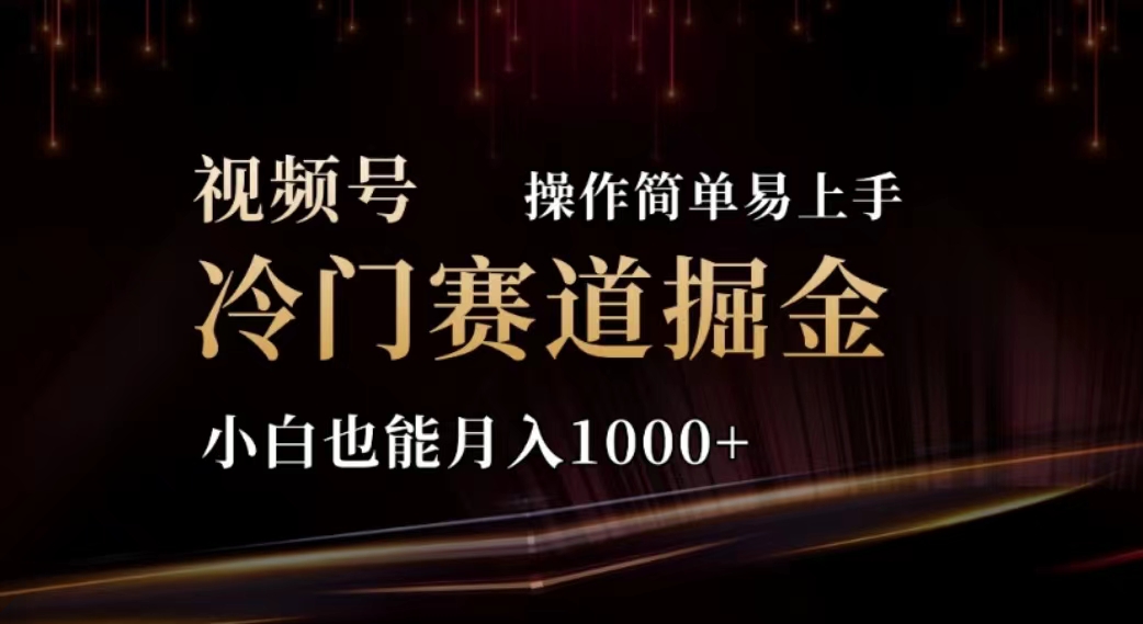 （11378期）2024视频号冷门赛道掘金，操作简单轻松上手，小白也能月入1000+-蓝天项目网