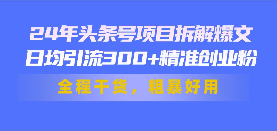 （11397期）24年头条号项目拆解爆文，日均引流300+精准创业粉，全程干货，粗暴好用-蓝天项目网