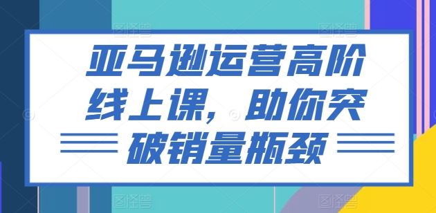 亚马逊运营高阶线上课，助你突破销量瓶颈-蓝天项目网