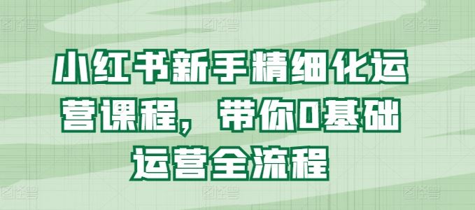 小红书新手精细化运营课程，带你0基础运营全流程-蓝天项目网