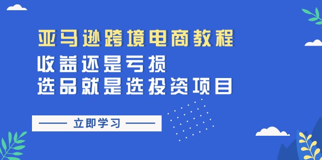 （11432期）亚马逊跨境电商教程：收益还是亏损！选品就是选投资项目-蓝天项目网