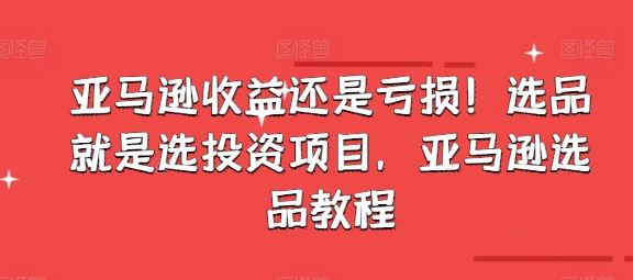 亚马逊收益还是亏损！选品就是选投资项目，亚马逊选品教程-蓝天项目网