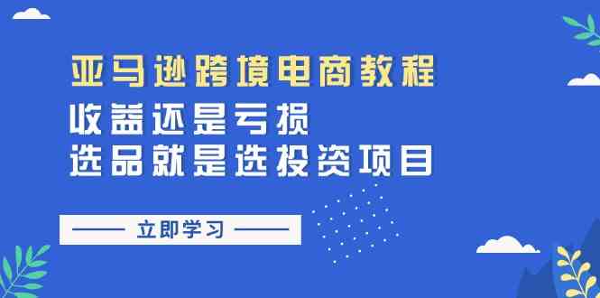 亚马逊跨境电商教程：收益还是亏损！选品就是选投资项目-蓝天项目网